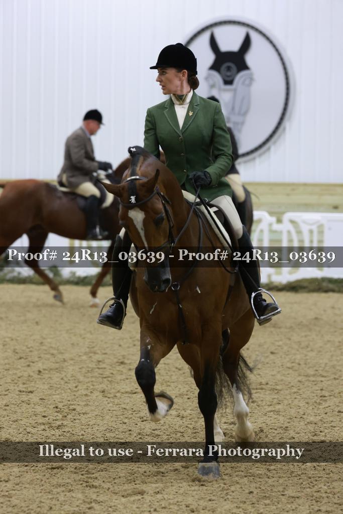 Proof 24R13_03639