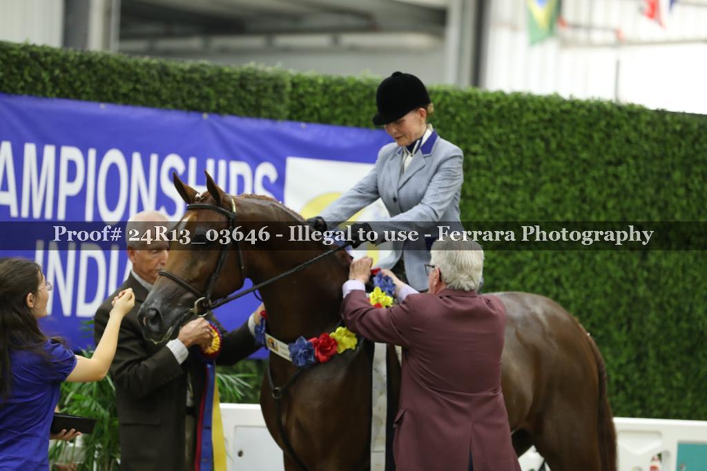 Proof 24R13_03646