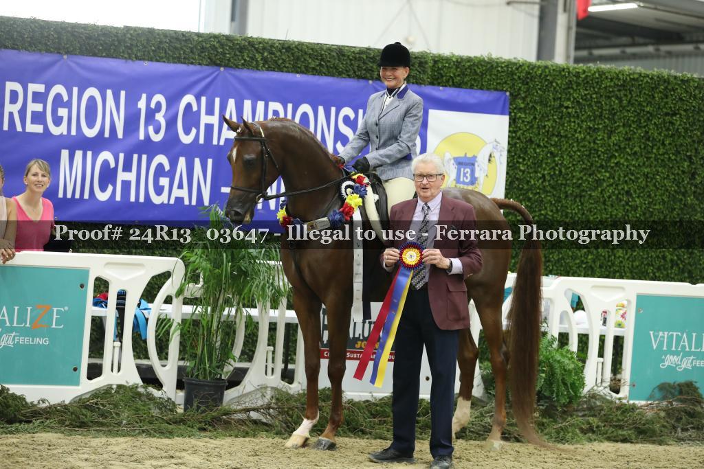 Proof 24R13_03647