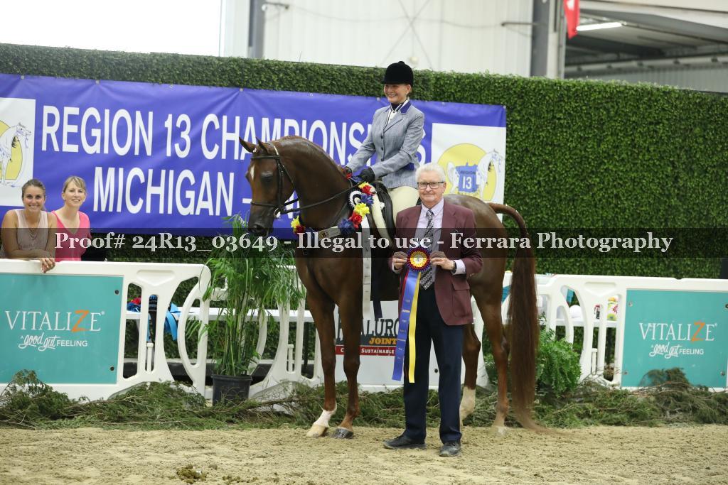Proof 24R13_03649