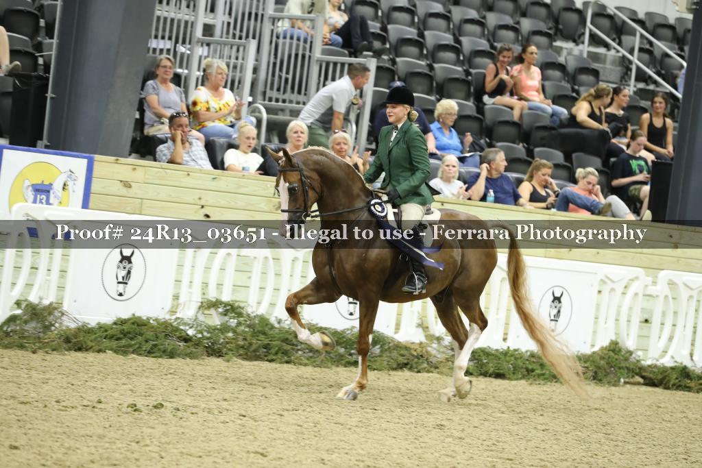 Proof 24R13_03651