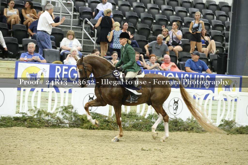 Proof 24R13_03652