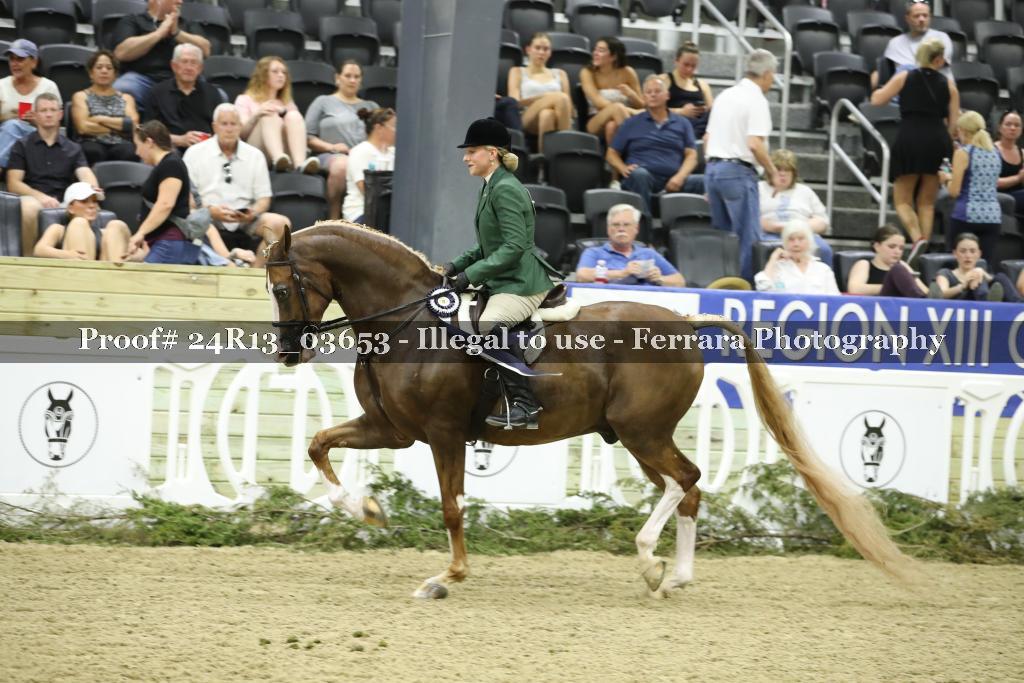 Proof 24R13_03653