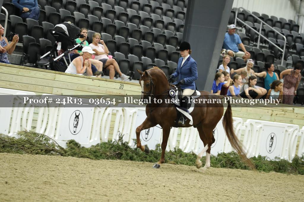 Proof 24R13_03654