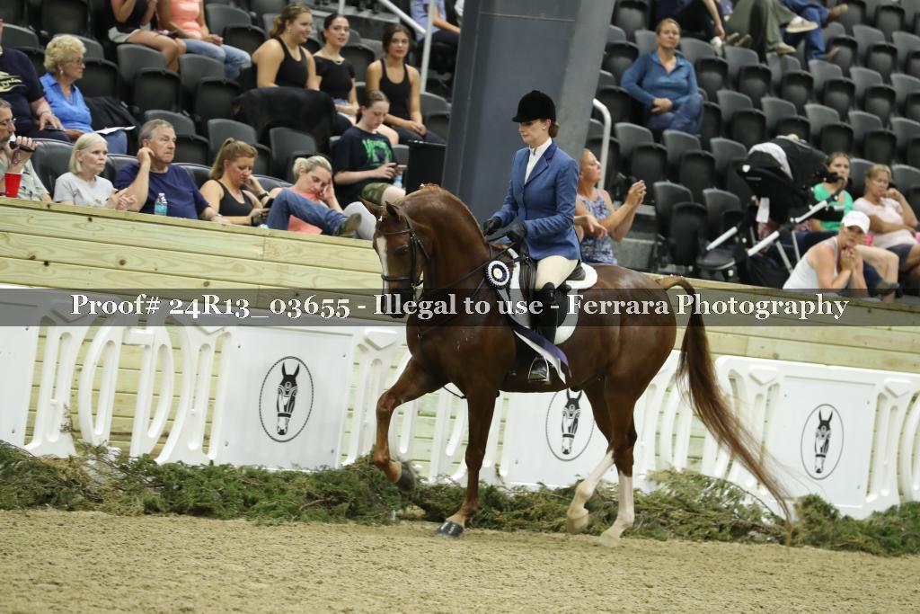 Proof 24R13_03655