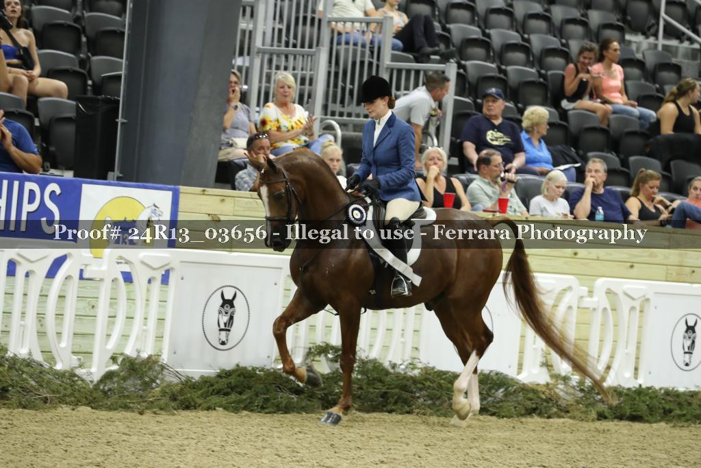 Proof 24R13_03656