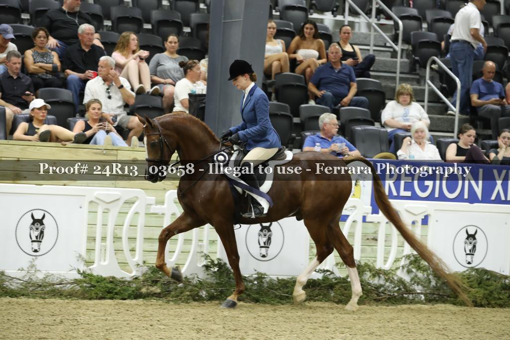Proof 24R13_03658