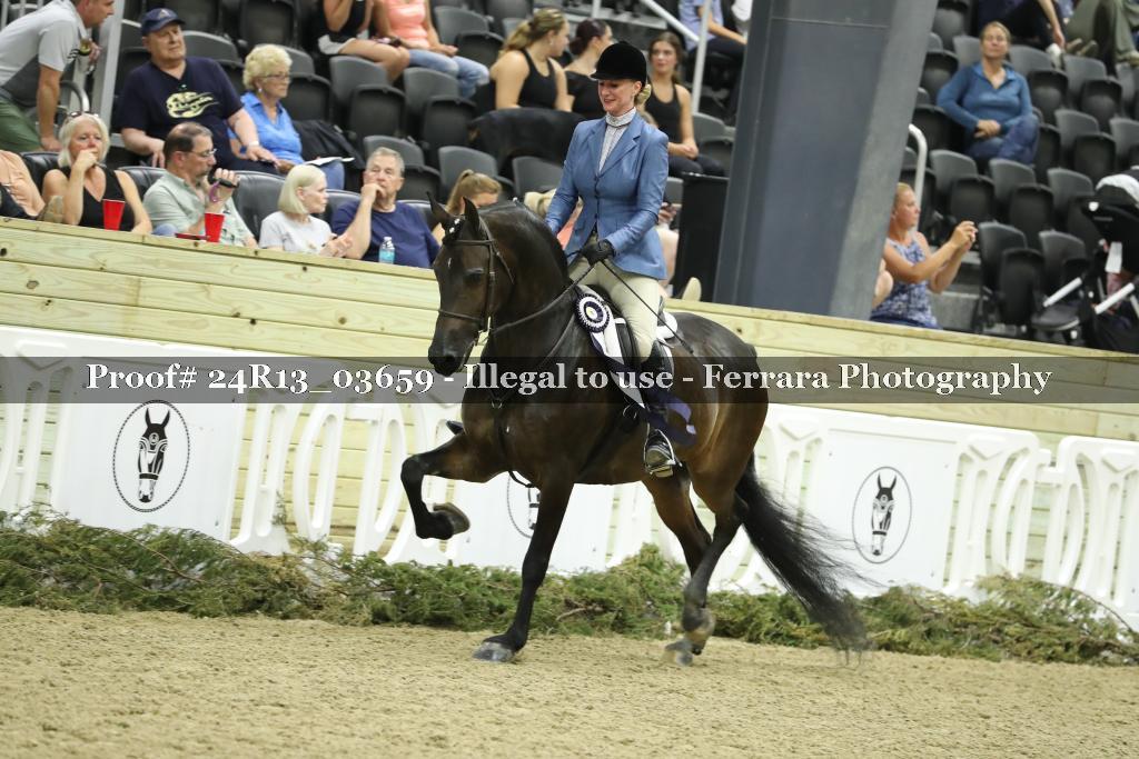 Proof 24R13_03659