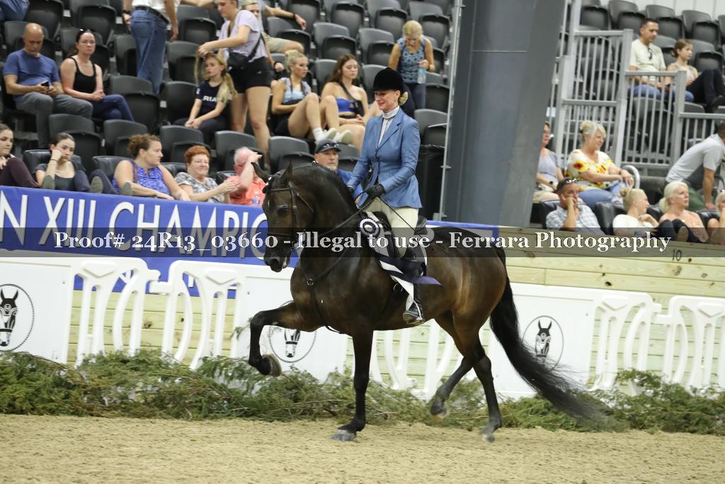 Proof 24R13_03660