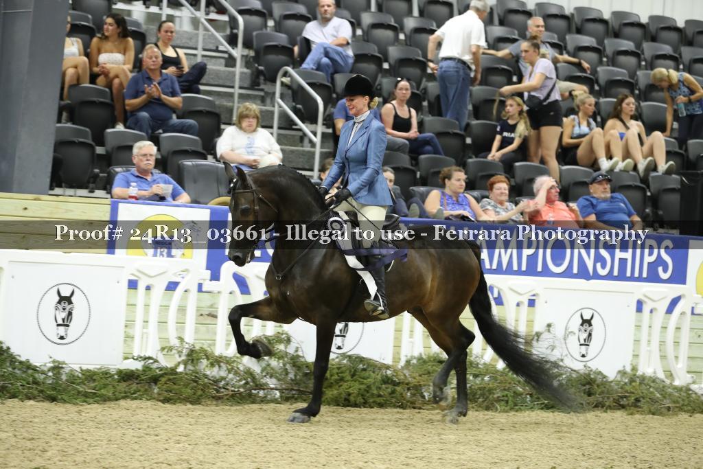 Proof 24R13_03661