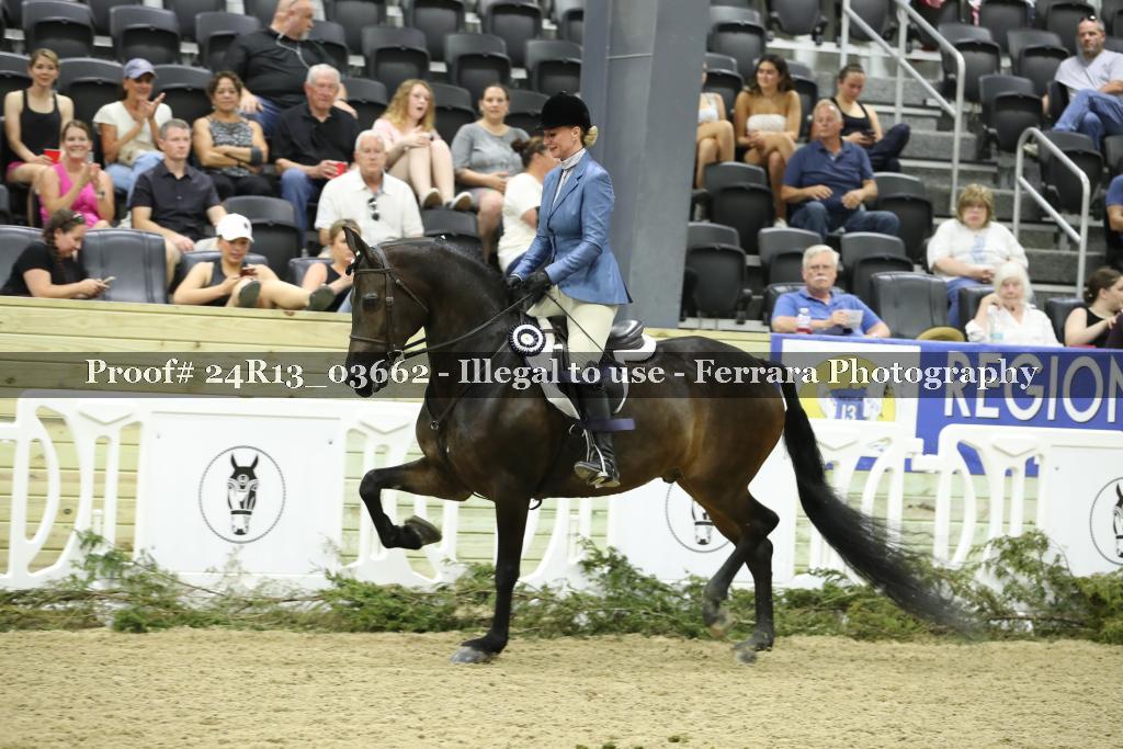Proof 24R13_03662