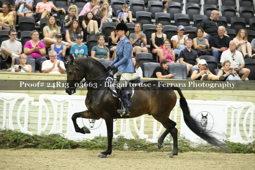Proof 24R13_03663
