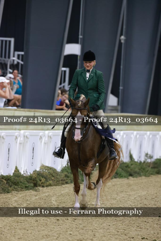 Proof 24R13_03664