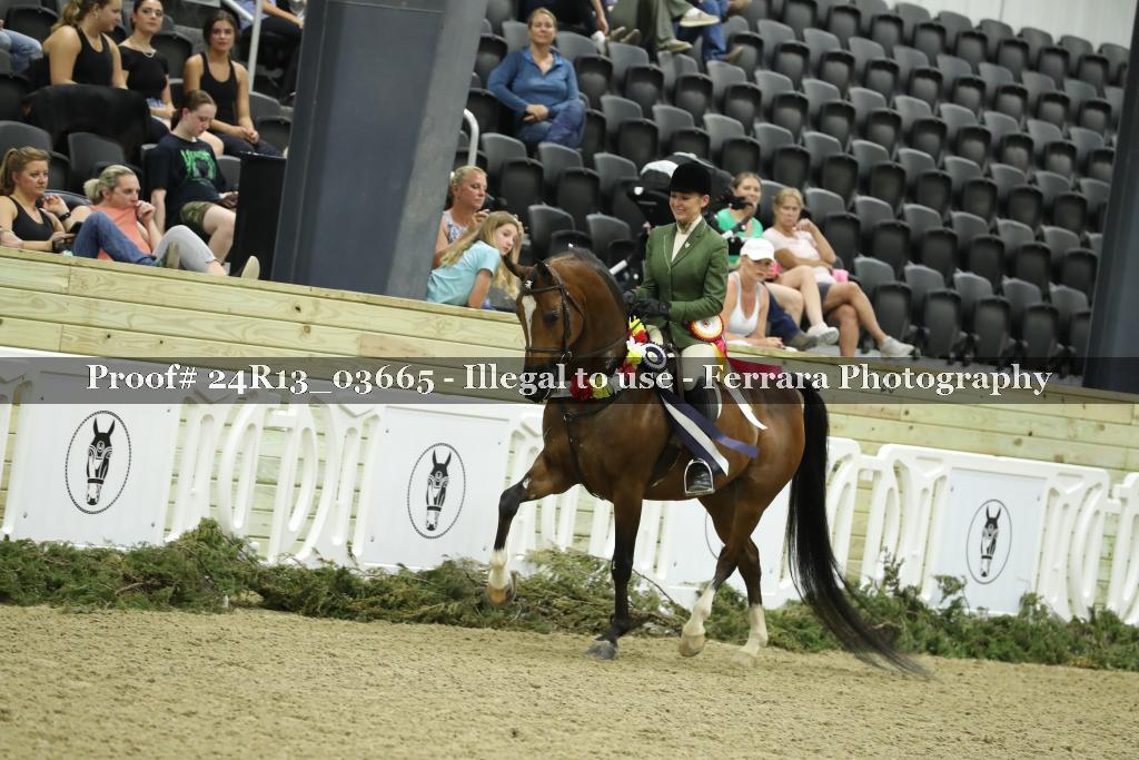 Proof 24R13_03665