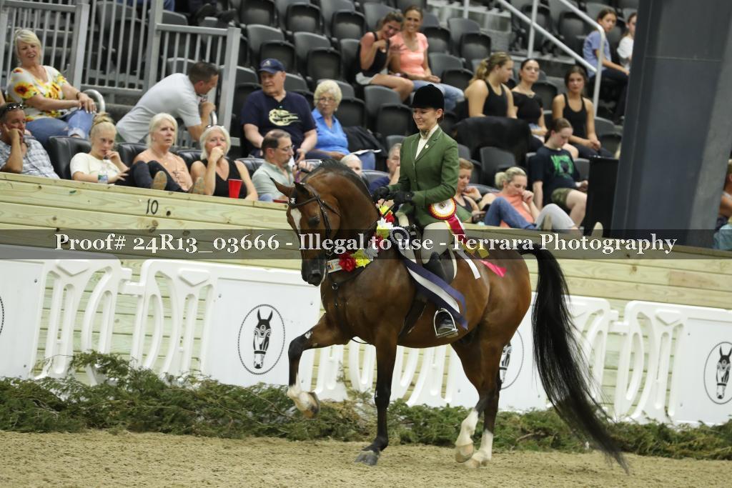 Proof 24R13_03666