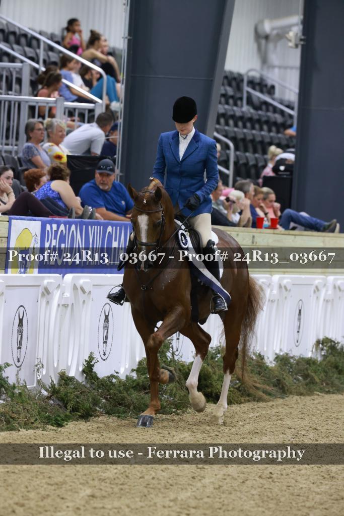 Proof 24R13_03667