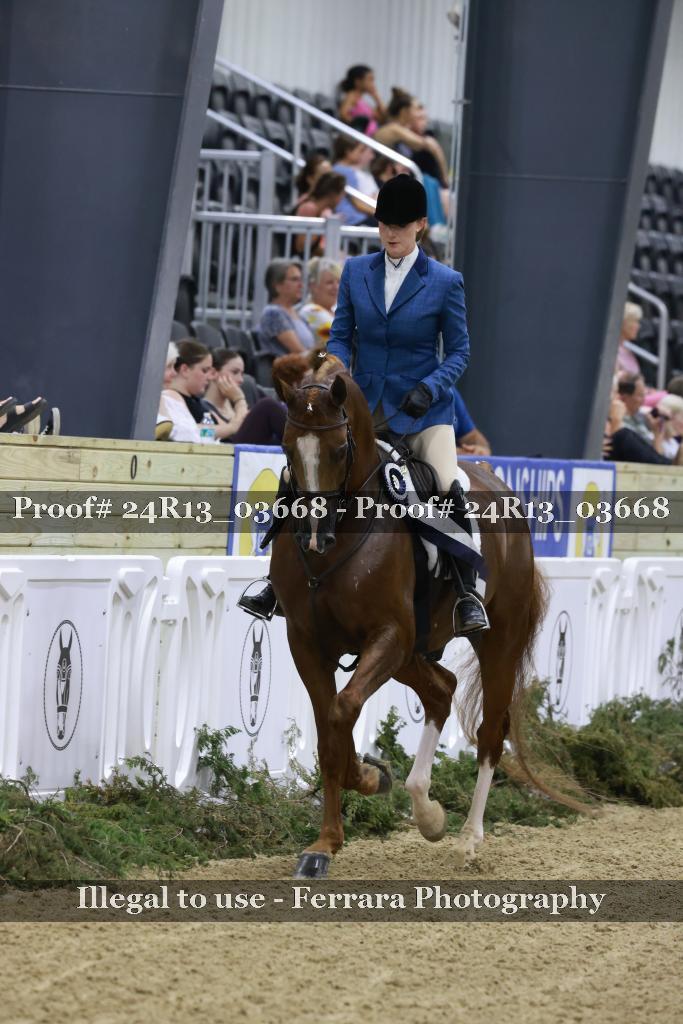 Proof 24R13_03668