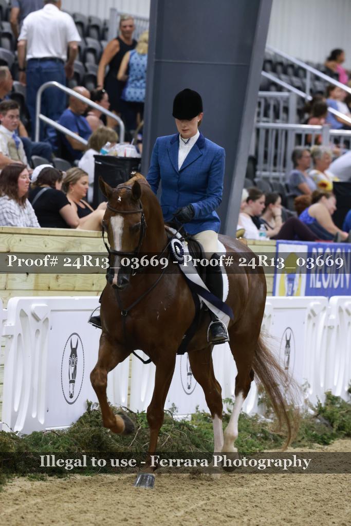 Proof 24R13_03669