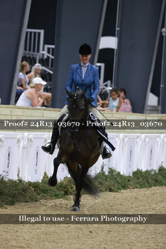 Proof 24R13_03670