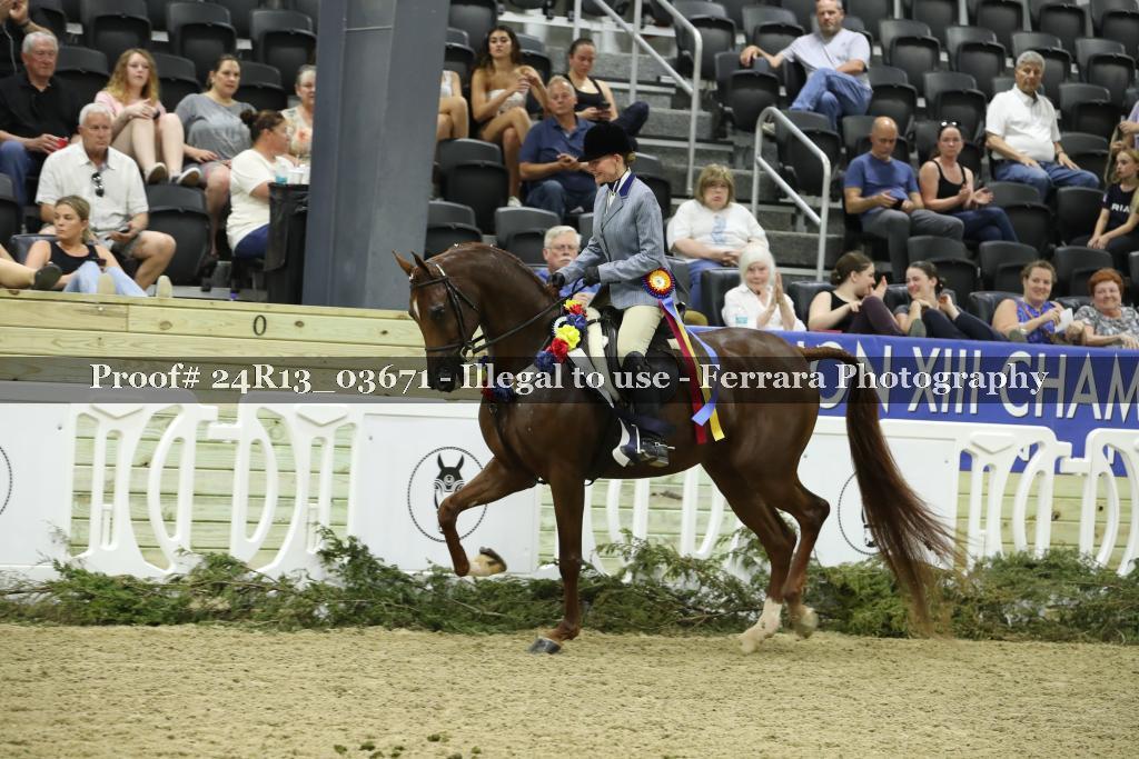 Proof 24R13_03671