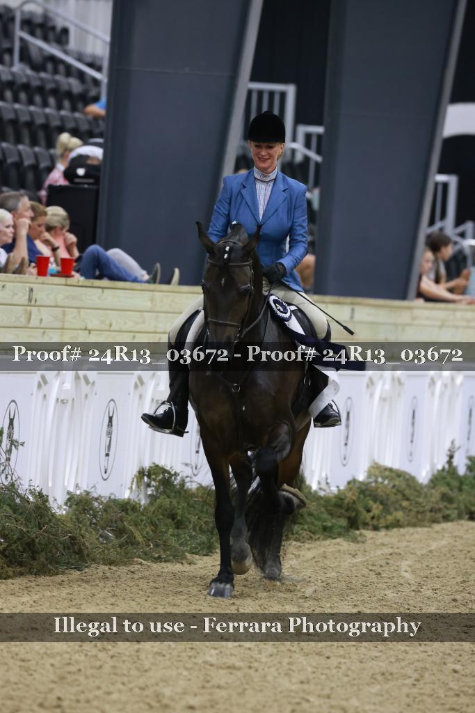 Proof 24R13_03672