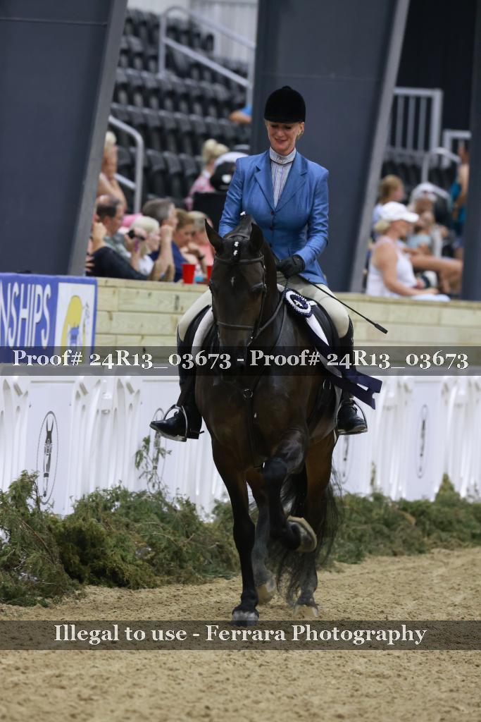 Proof 24R13_03673
