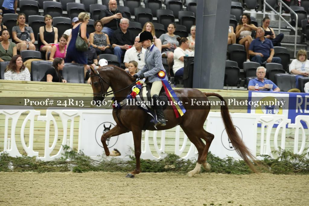 Proof 24R13_03674