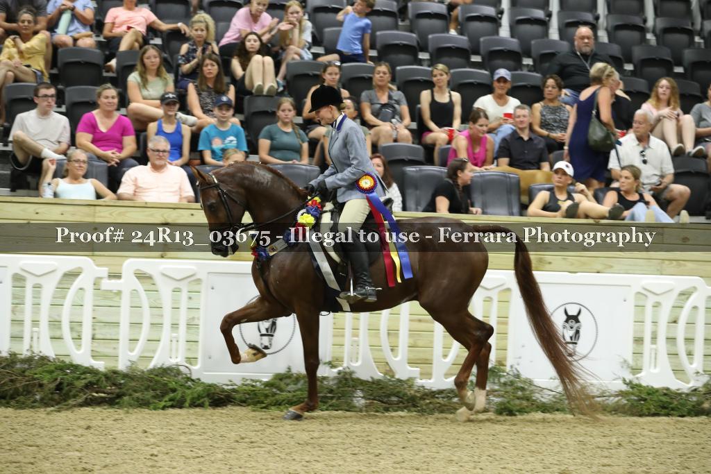 Proof 24R13_03675