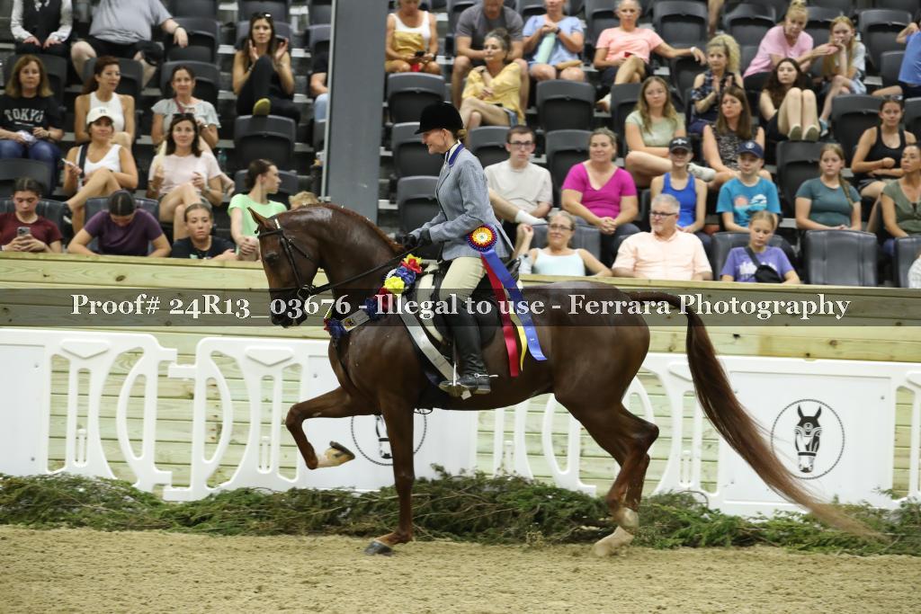 Proof 24R13_03676