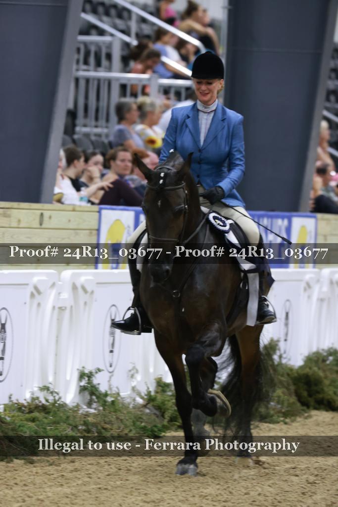 Proof 24R13_03677