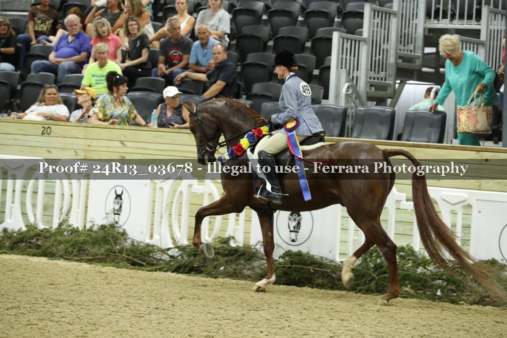 Proof 24R13_03678