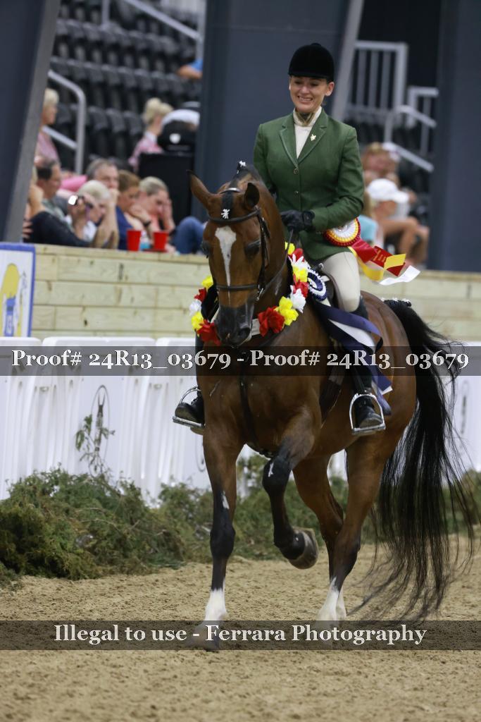 Proof 24R13_03679