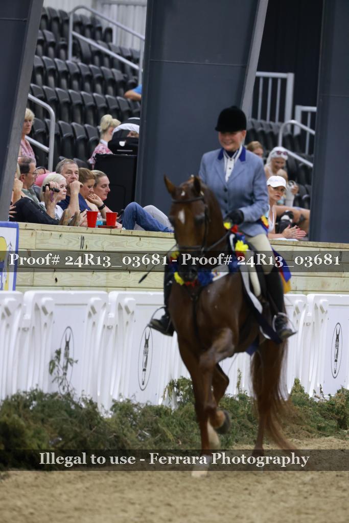 Proof 24R13_03681
