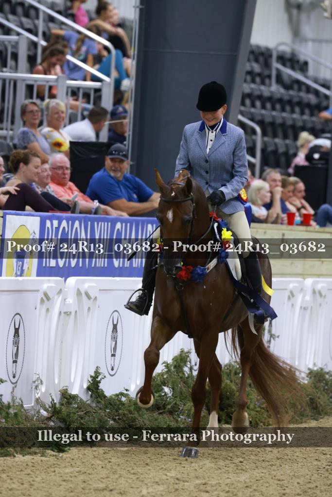 Proof 24R13_03682
