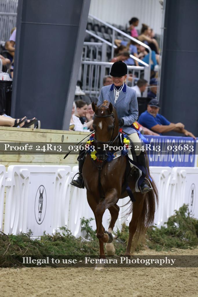 Proof 24R13_03683