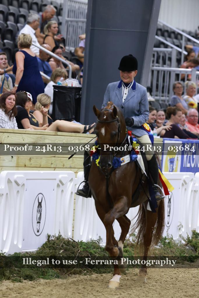 Proof 24R13_03684
