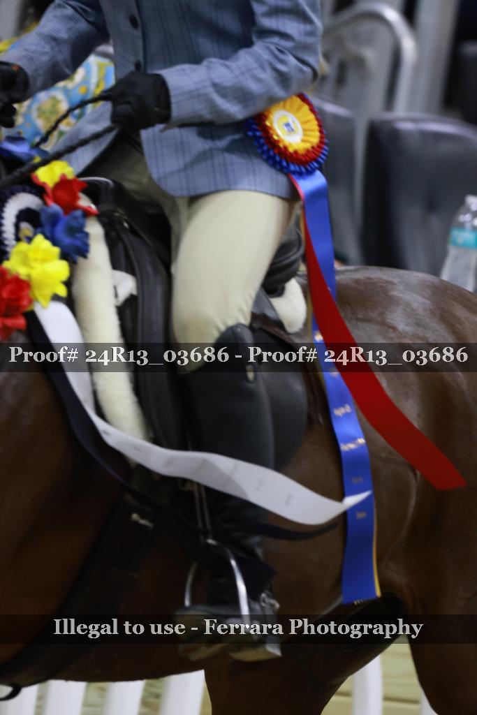Proof 24R13_03686