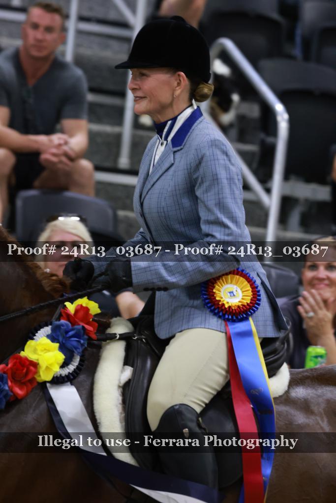 Proof 24R13_03687