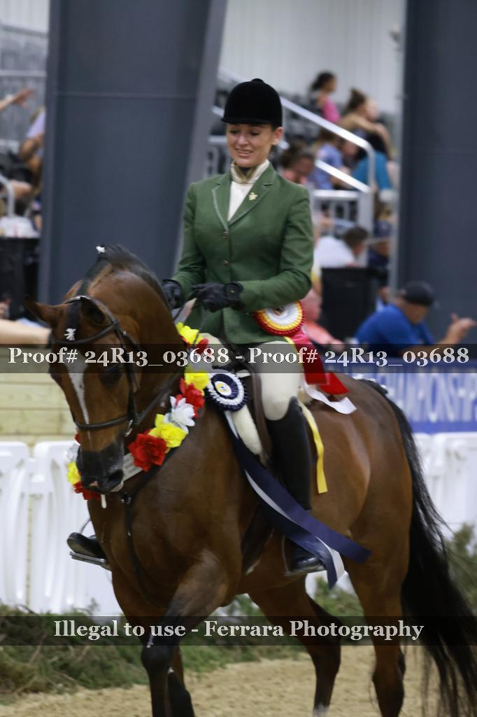 Proof 24R13_03688