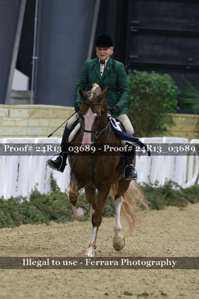 Proof 24R13_03689