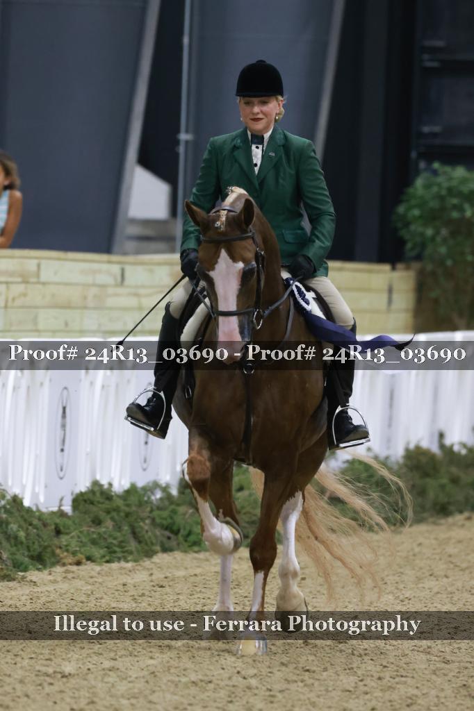 Proof 24R13_03690