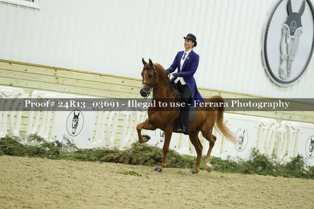Proof 24R13_03691