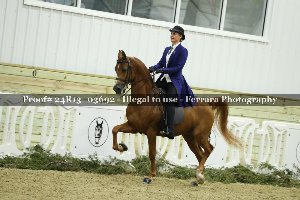 Proof 24R13_03692