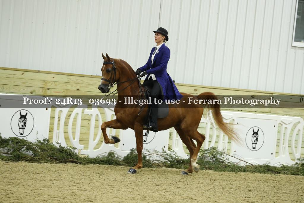 Proof 24R13_03693