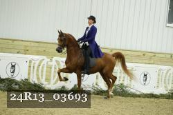 24R13_03693 proof