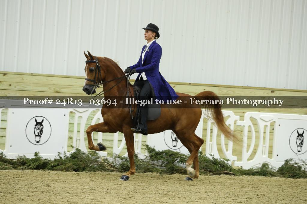 Proof 24R13_03694