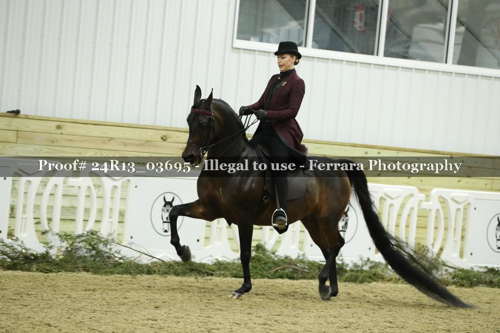 Proof 24R13_03695