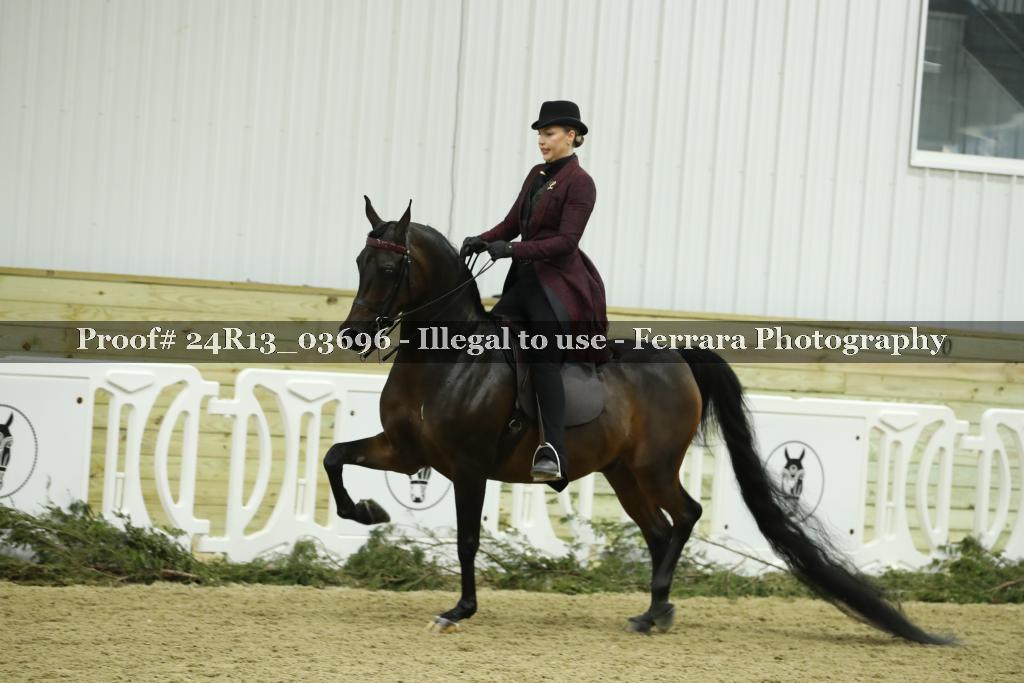 Proof 24R13_03696