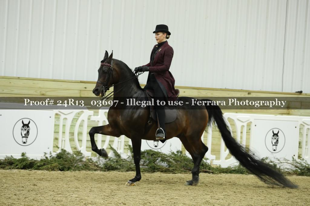 Proof 24R13_03697