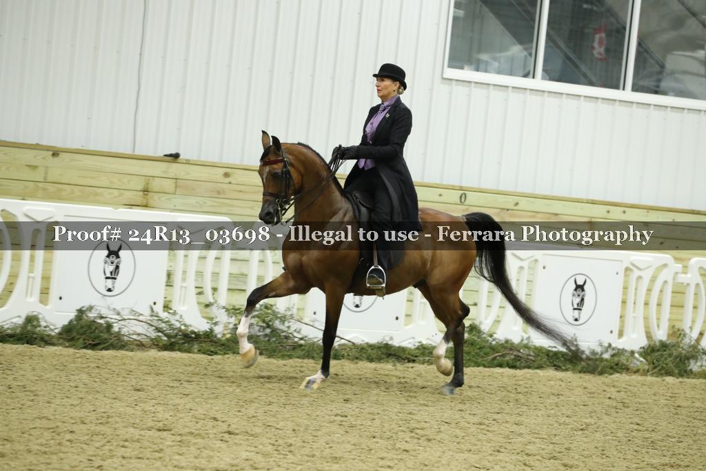 Proof 24R13_03698